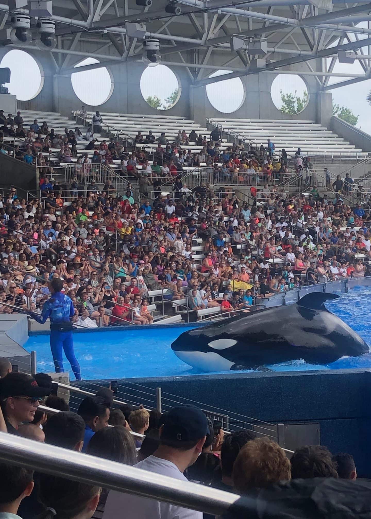 one ocean show at sea world