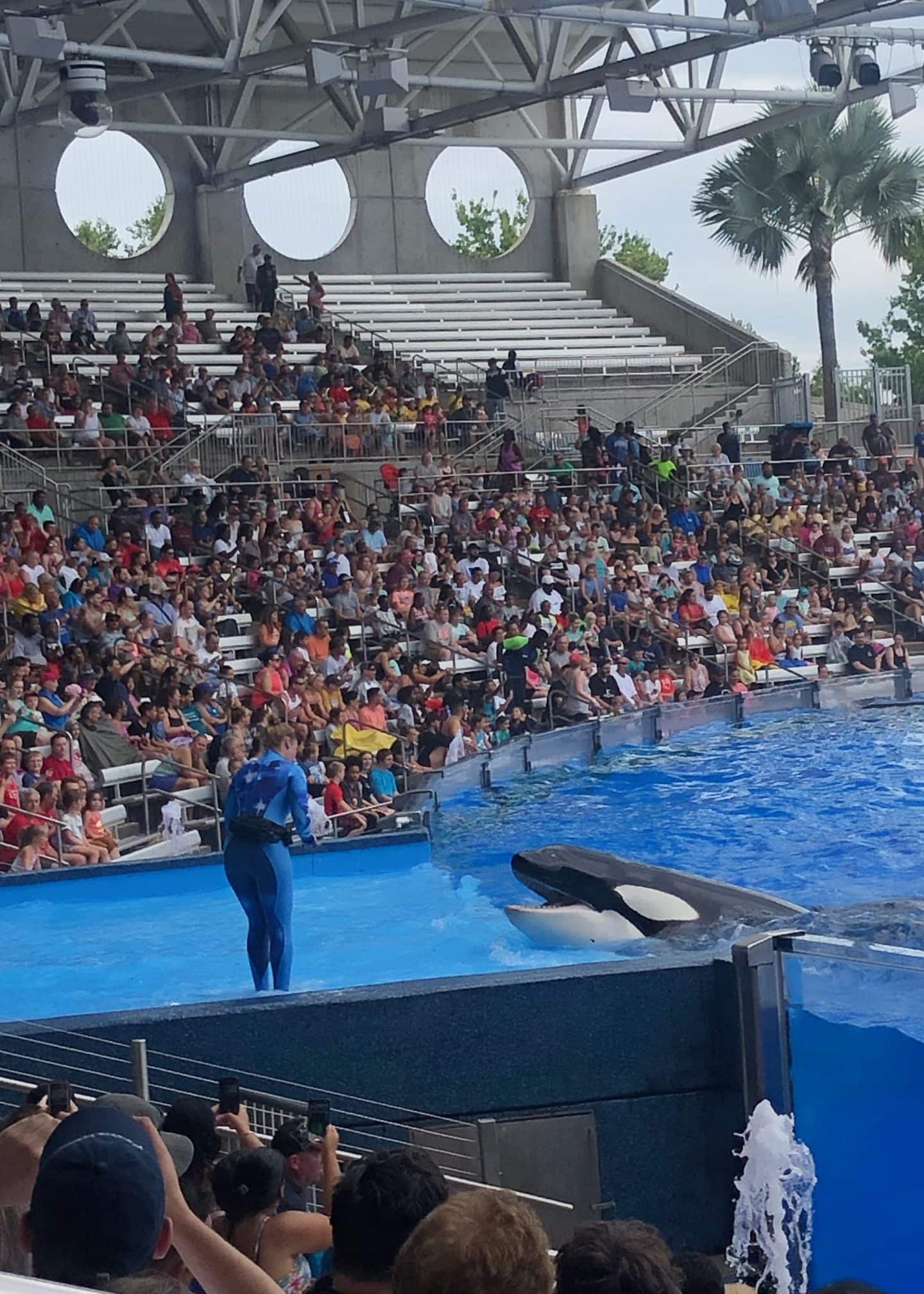 one ocean show at sea world