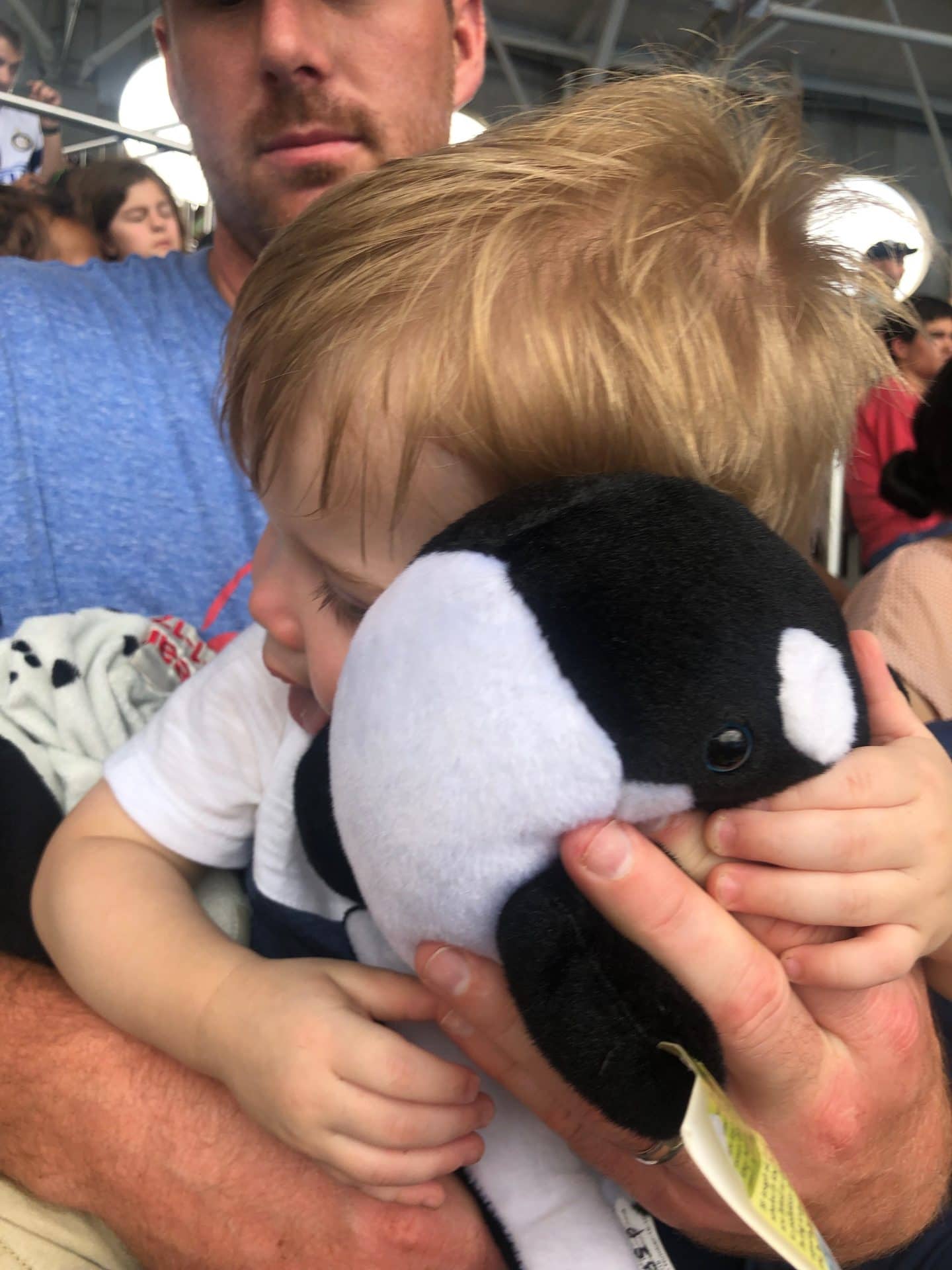 Shamu stuffed animal