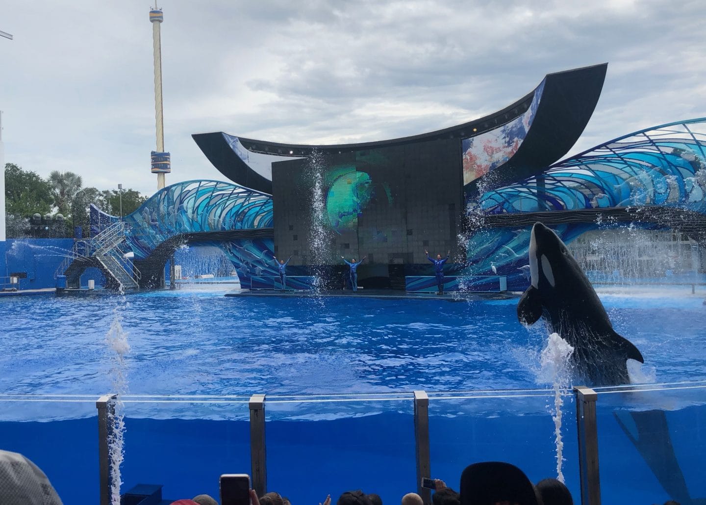 one ocean show at sea world