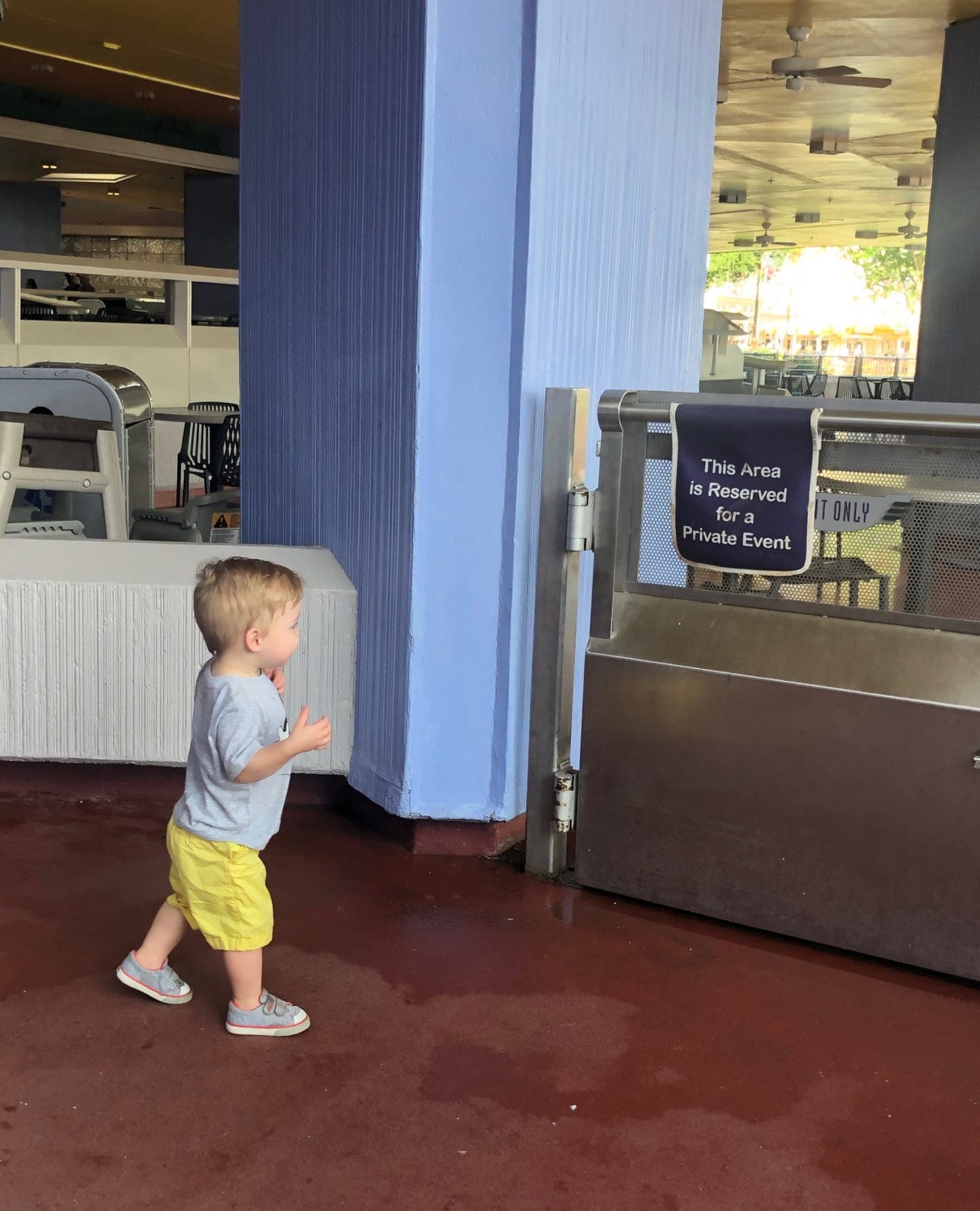 toddler at magic kingdom