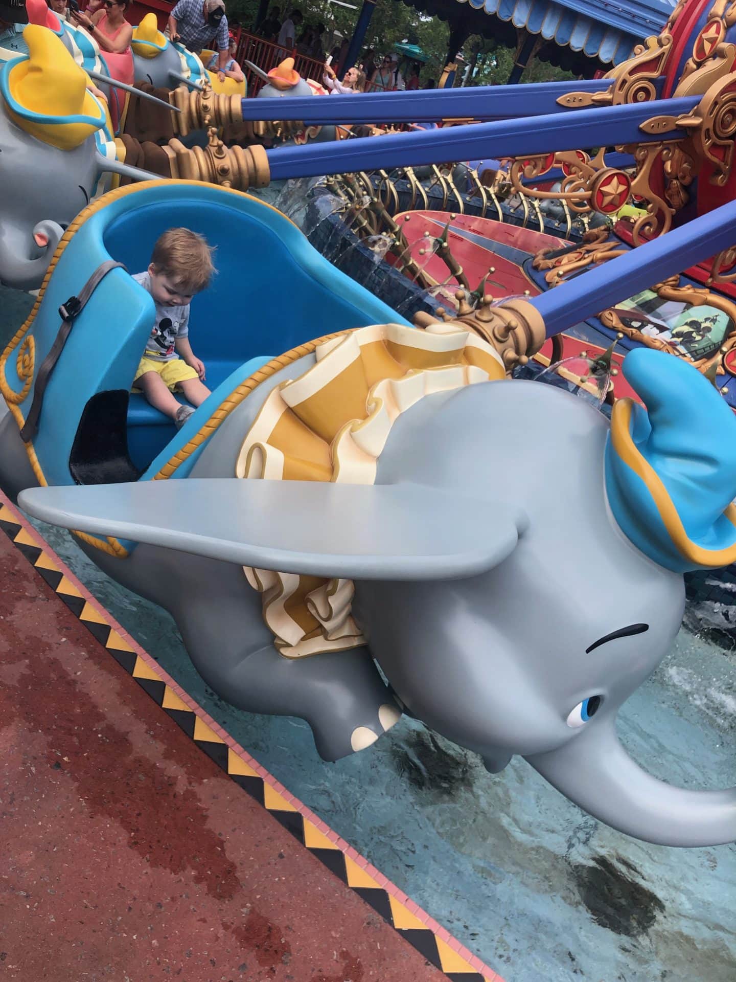 dumbo ride with toddler at magic kingdom  Disney World 