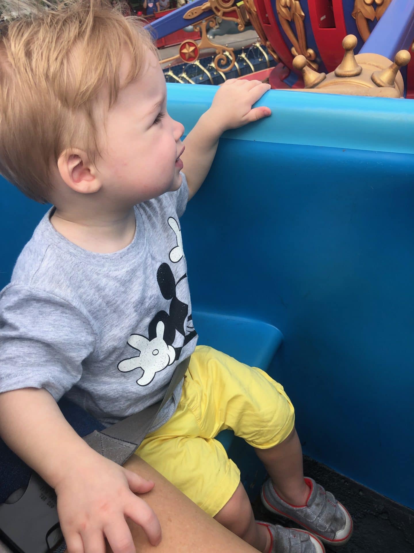 dumbo ride with toddler at magic kingdom  Disney World 