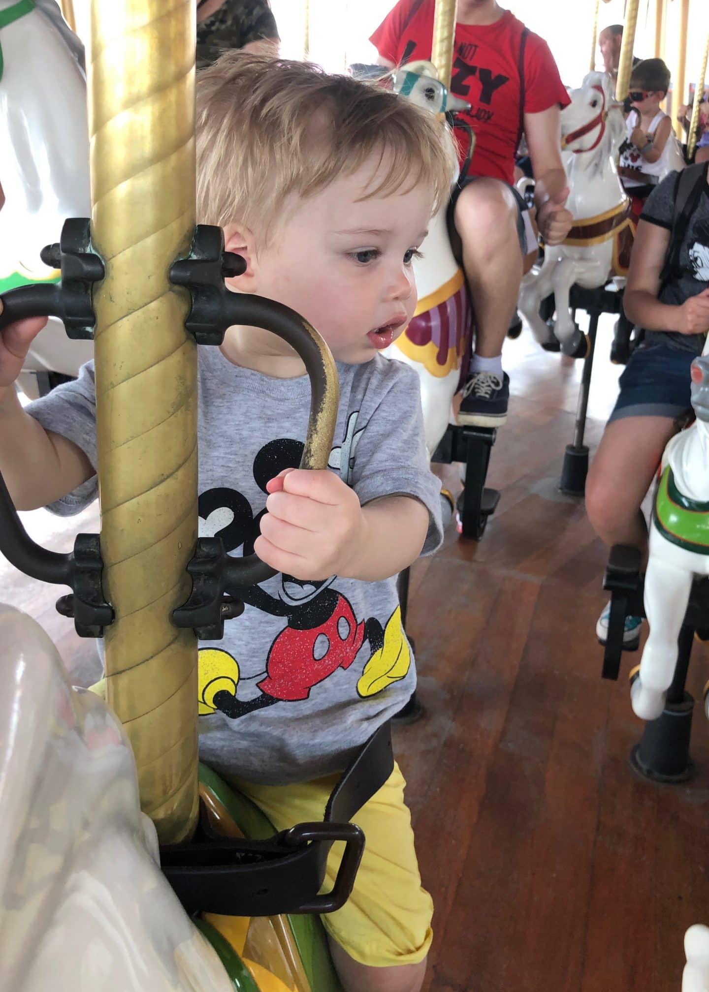 prince charming carousel toddler boy magic kingdom Disney World