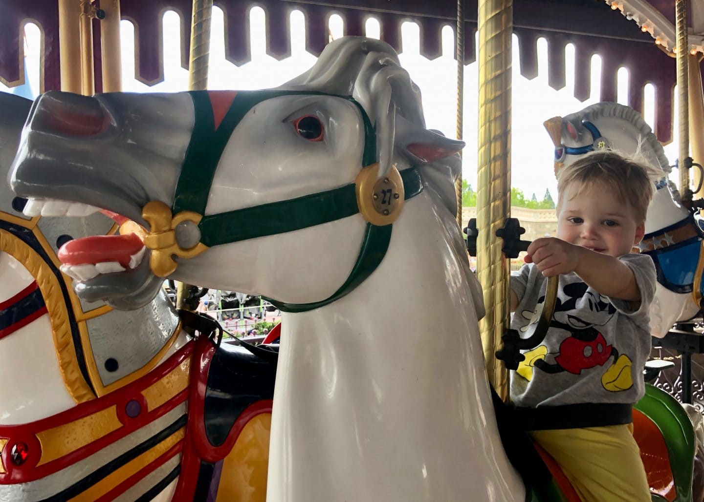 prince charming carousel toddler boy magic kingdom Disney World