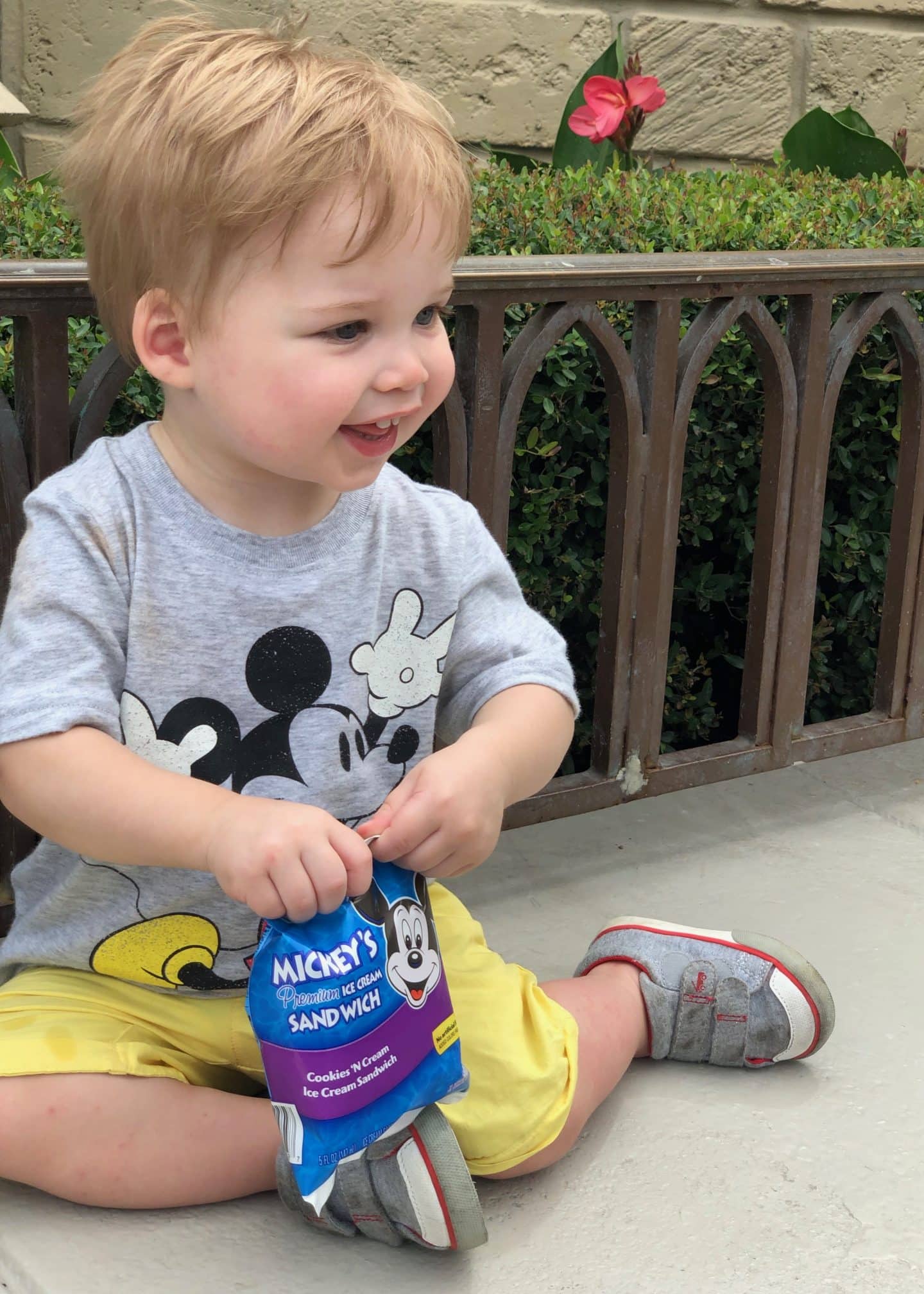 first mickey ice cream at magic kingdom 