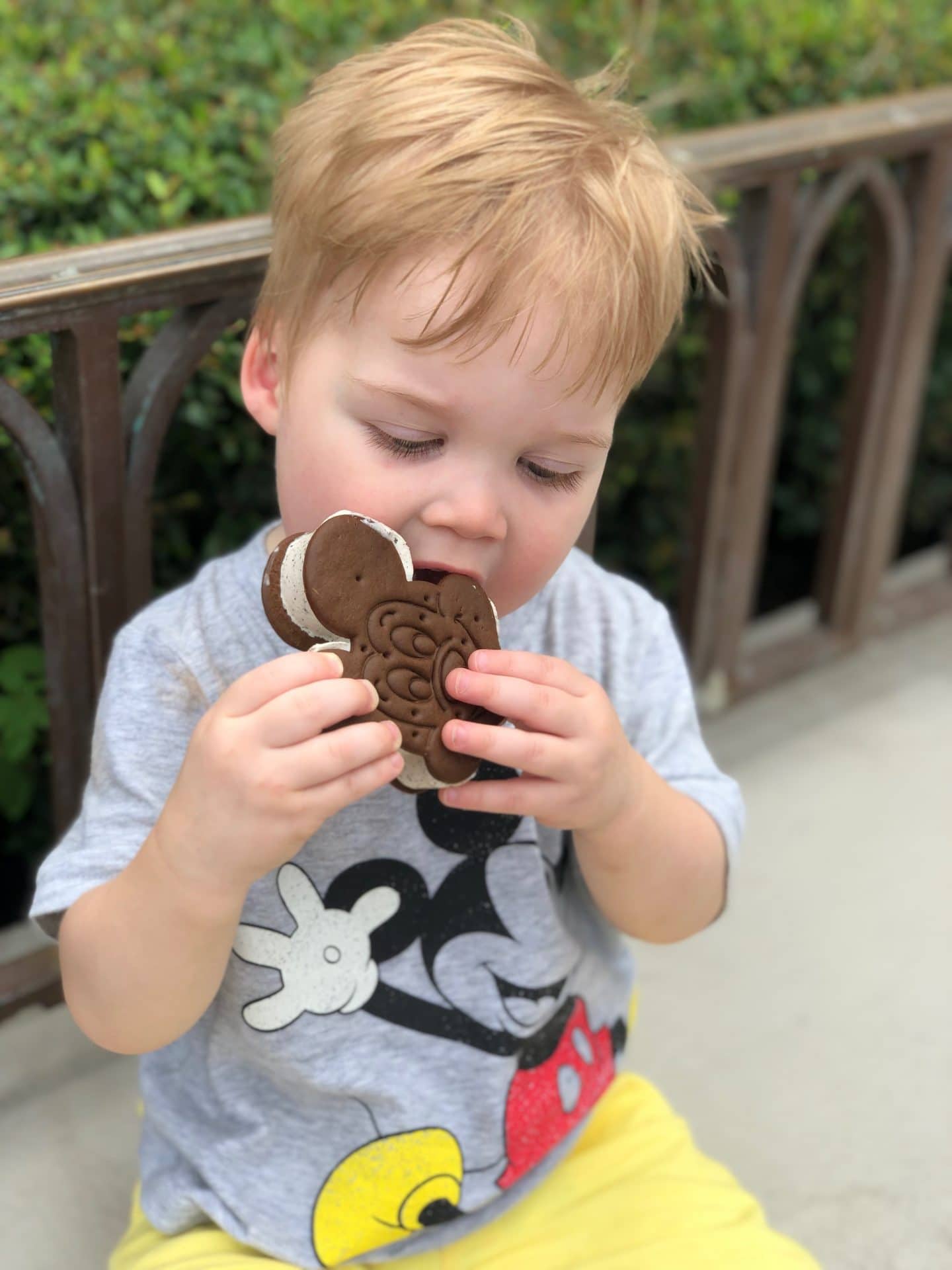 first mickey ice cream at magic kingdom 