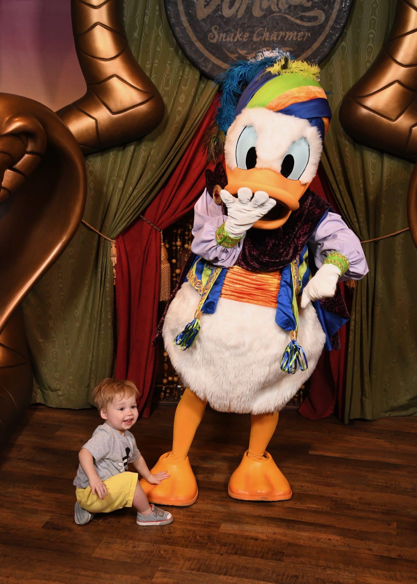 toddler boy meeting Donald Duck at magic kingdom Disney World