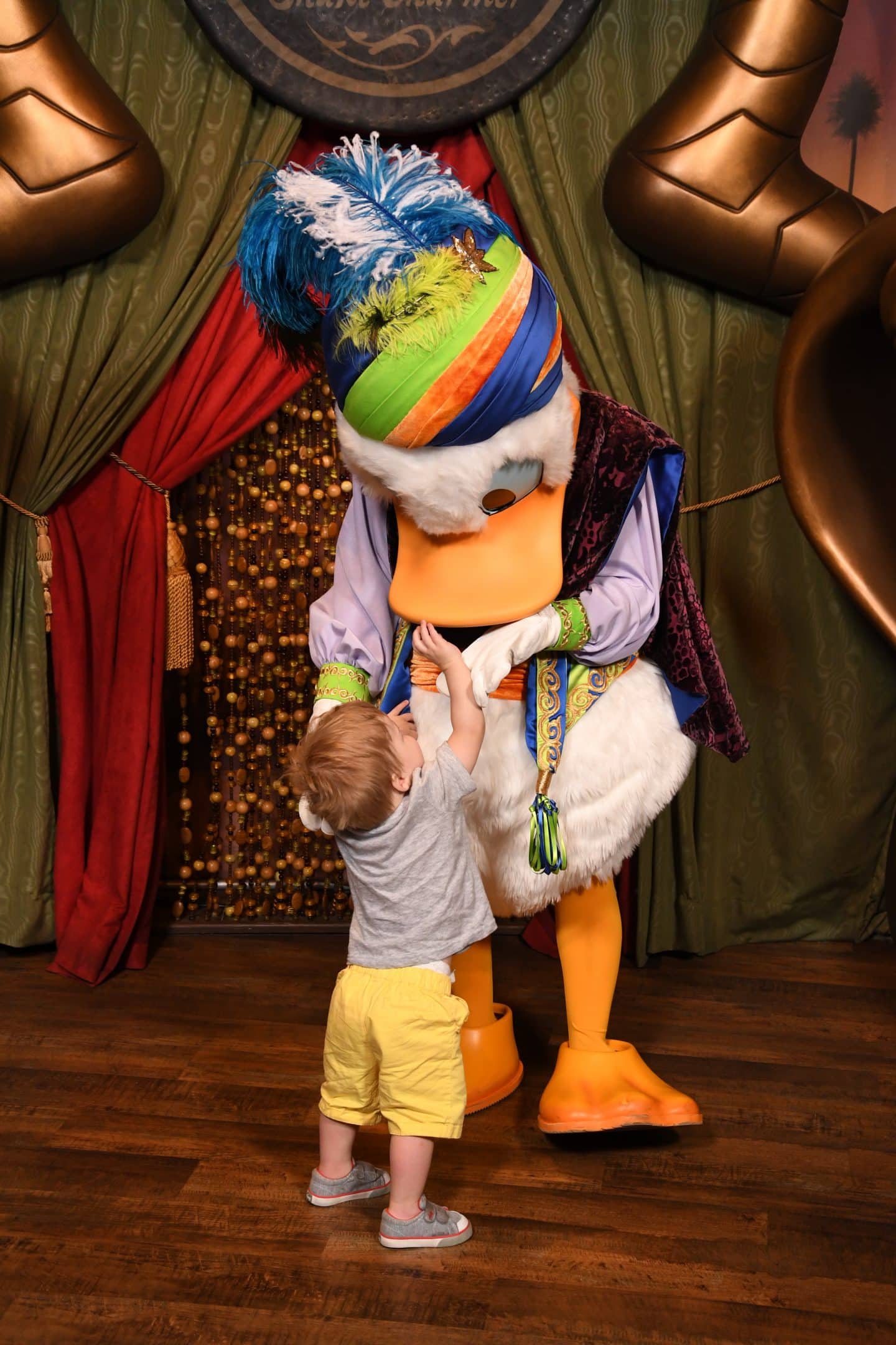 toddler boy meeting Donald Duck at magic kingdom Disney World