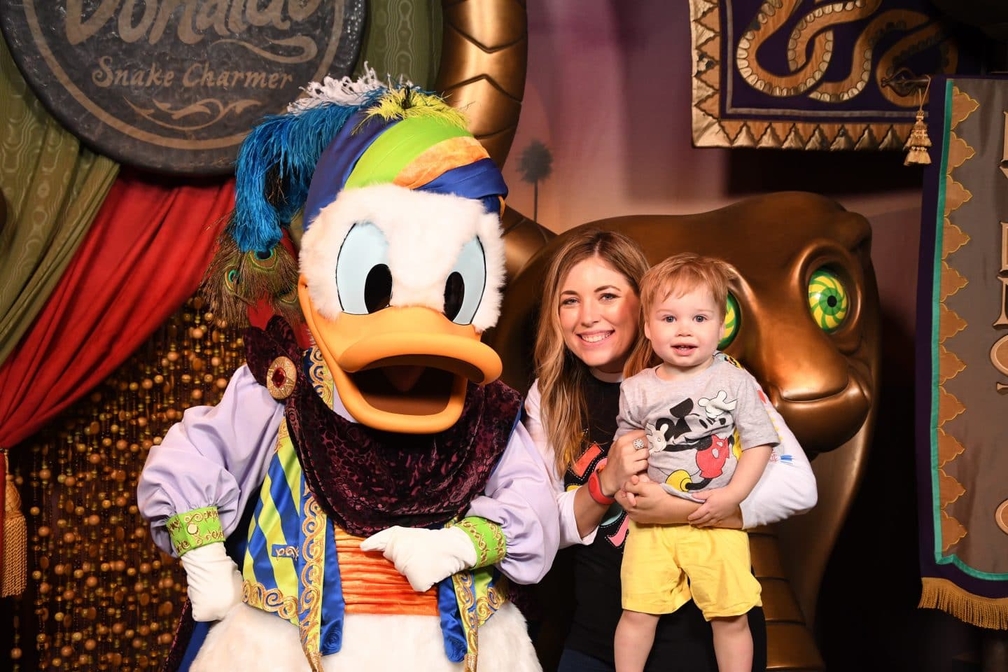 toddler boy meeting Donald Duck at magic kingdom Disney World