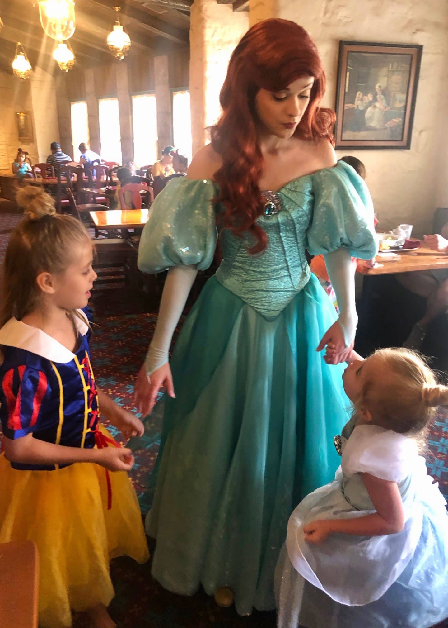 Ariel Epcot Akershus