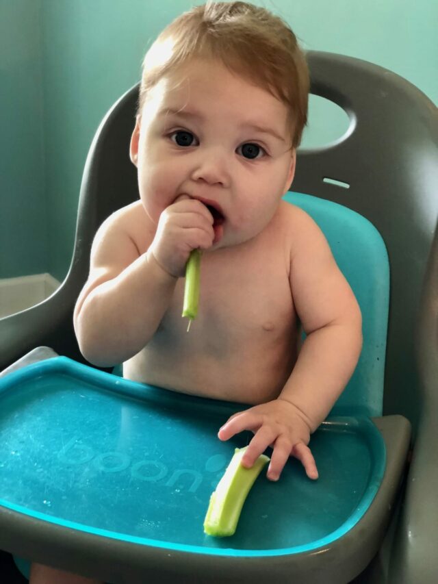 THE BEST ITEMS FOR BABY LED WEANING