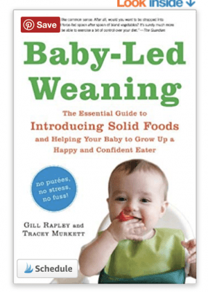 Baby Led Weaning Book