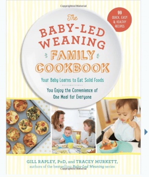 Baby-Led Weaning Supplies for Easy Mealtime - 9 Pieces – deerbabies