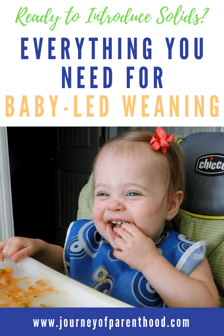 10 Baby Led Weaning Must-Haves - Family Style Nutrition