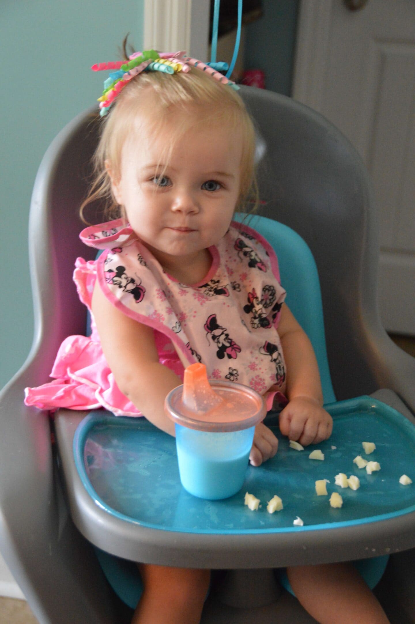 The Best Baby Led Weaning Book: A Simple Guide to Baby Led Weaning