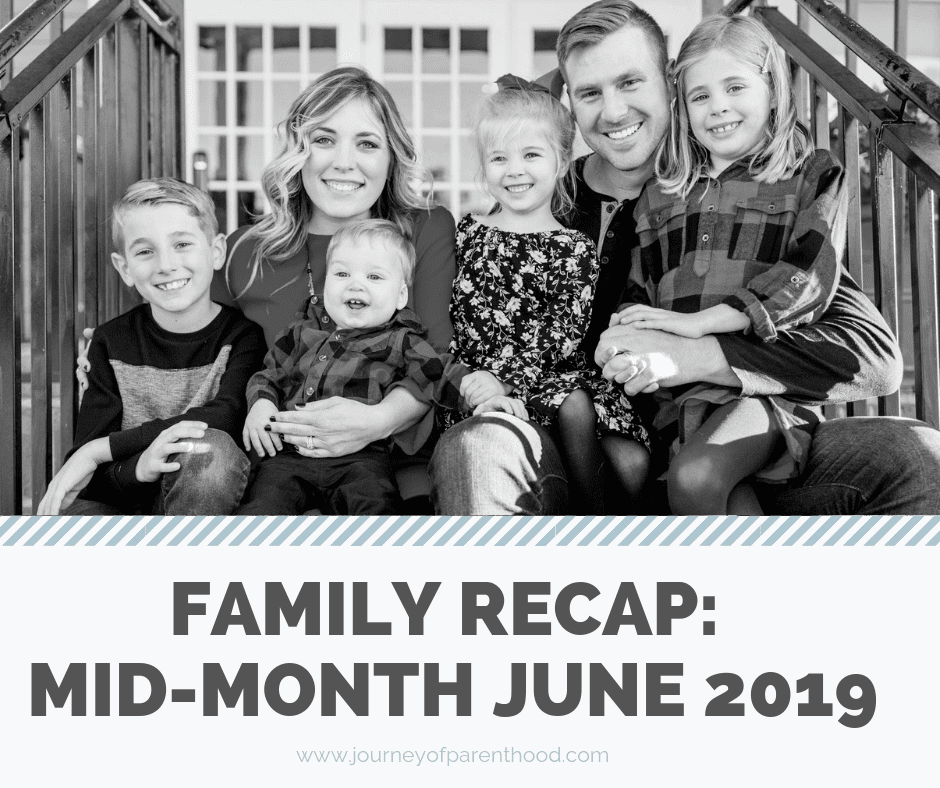 Mid-Month Recap: June 2019