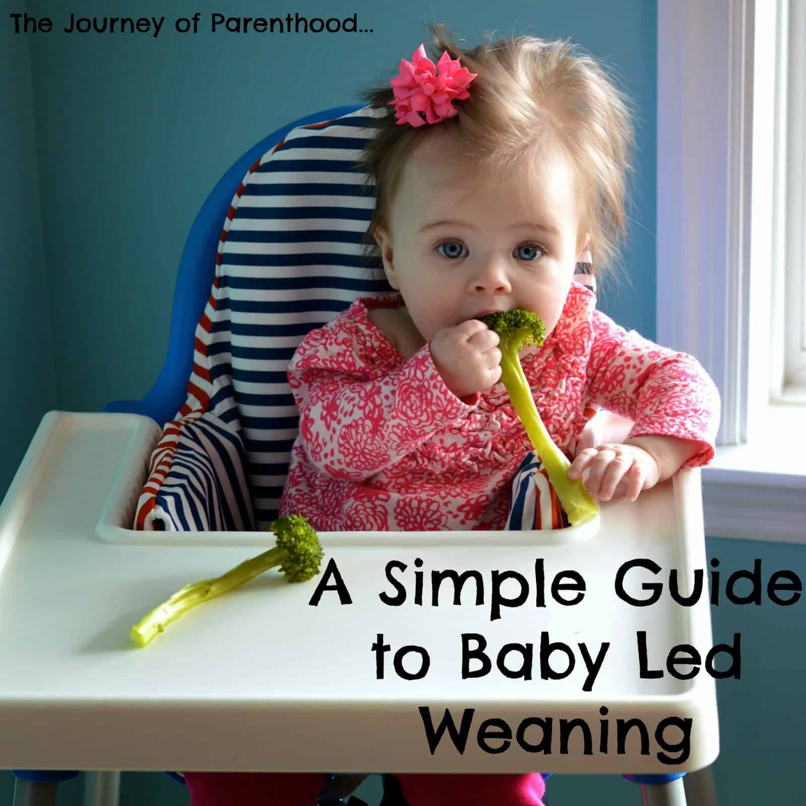best baby led weaning book