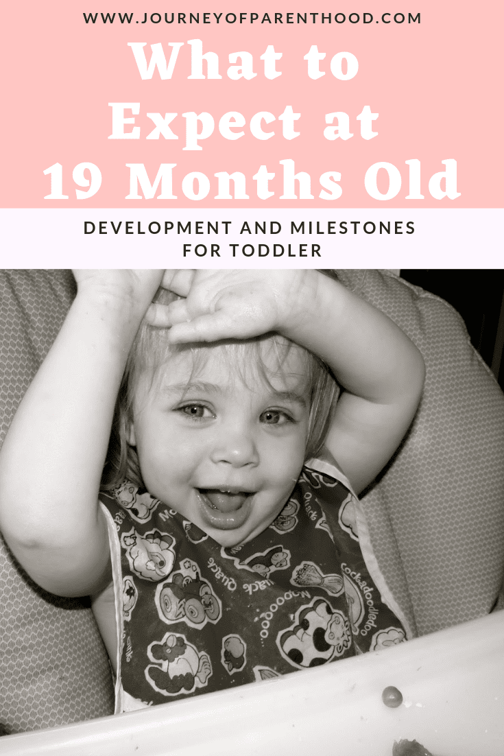 what to expect at 19 months old- development and milestones for a toddler