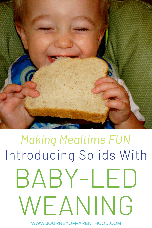 best baby led weaning book