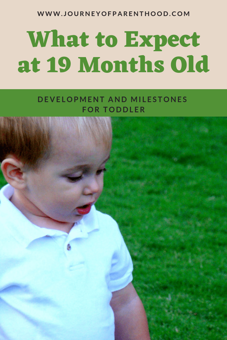 toddler boy looking at grass - text reads "what to expect at 19 months old"