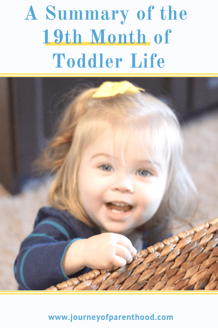 toddler girl big smile words - a summary of the 19th month of toddler life