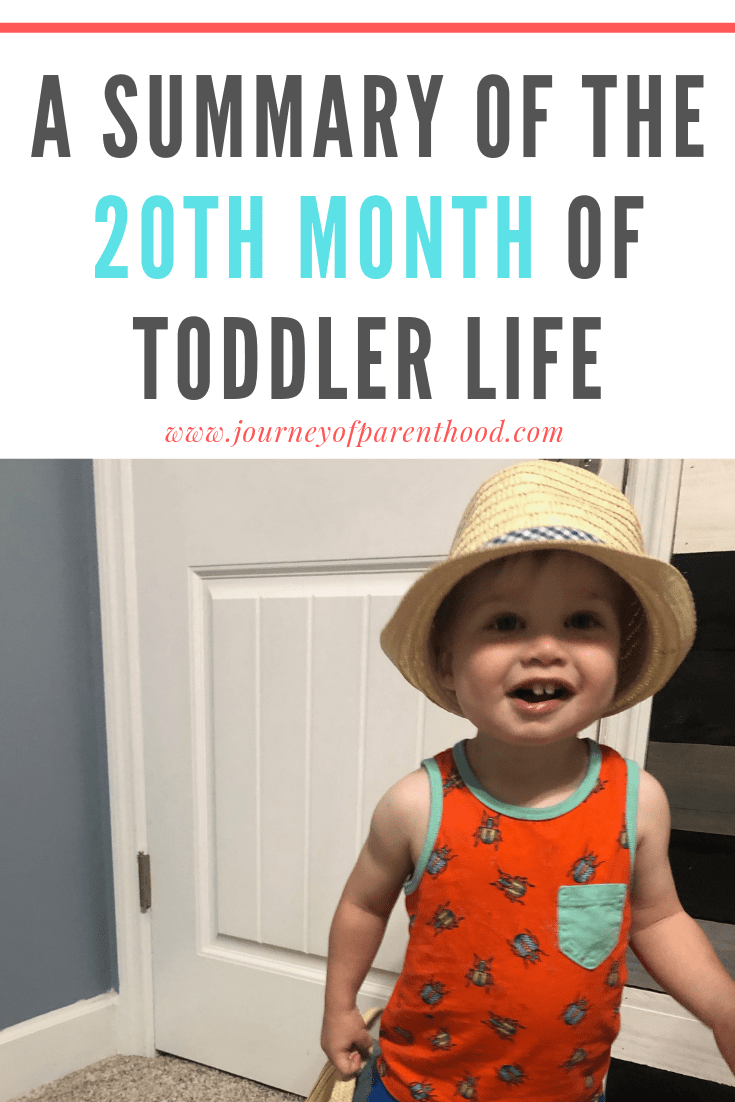 toddler boy wearing hat