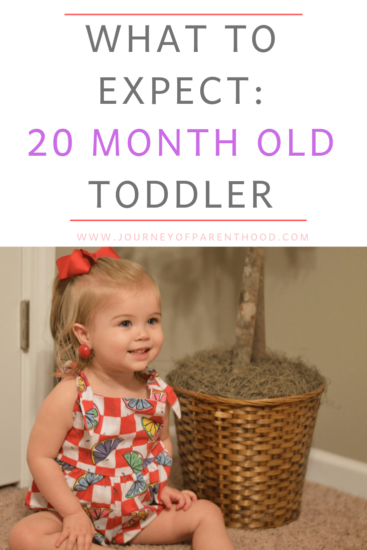 toddler girl - what to expect 20 month old toddler