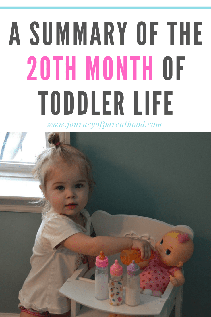 toddler girl feeding baby doll - a summary of the 20th month of toddler life