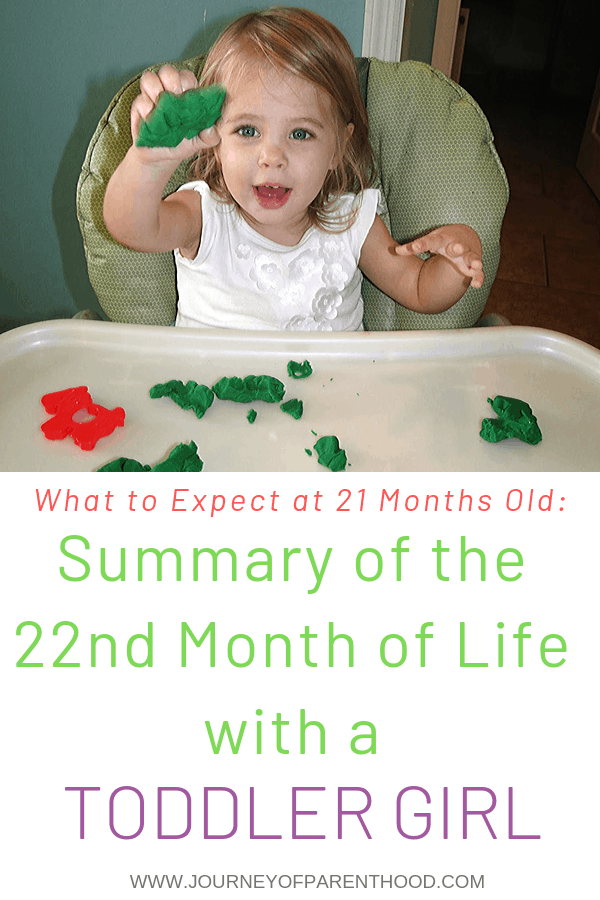 toddler girl - summary of the 22nd month of life with a toddler girl