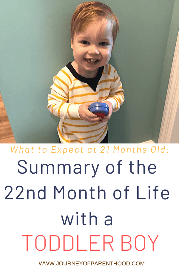 toddler boy - summary of the 22nd mont of life with a toddler boy 