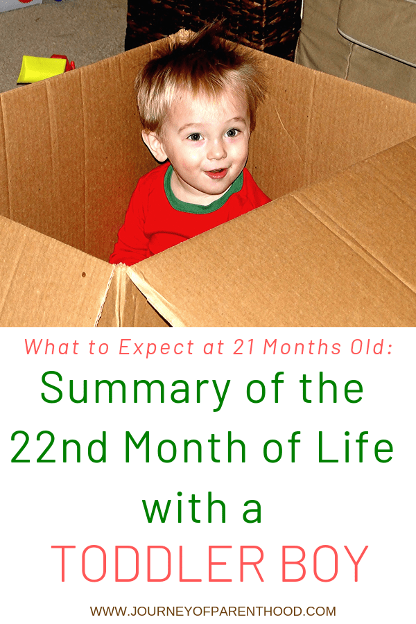 Kye Summary of Month 22 and 22 Months Old!