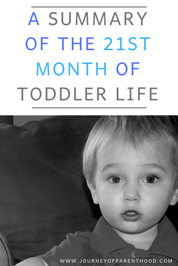 toddler boy 21st month of toddler life summary