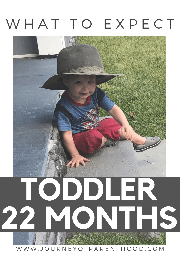 toddler boy - what to expect with a toddler