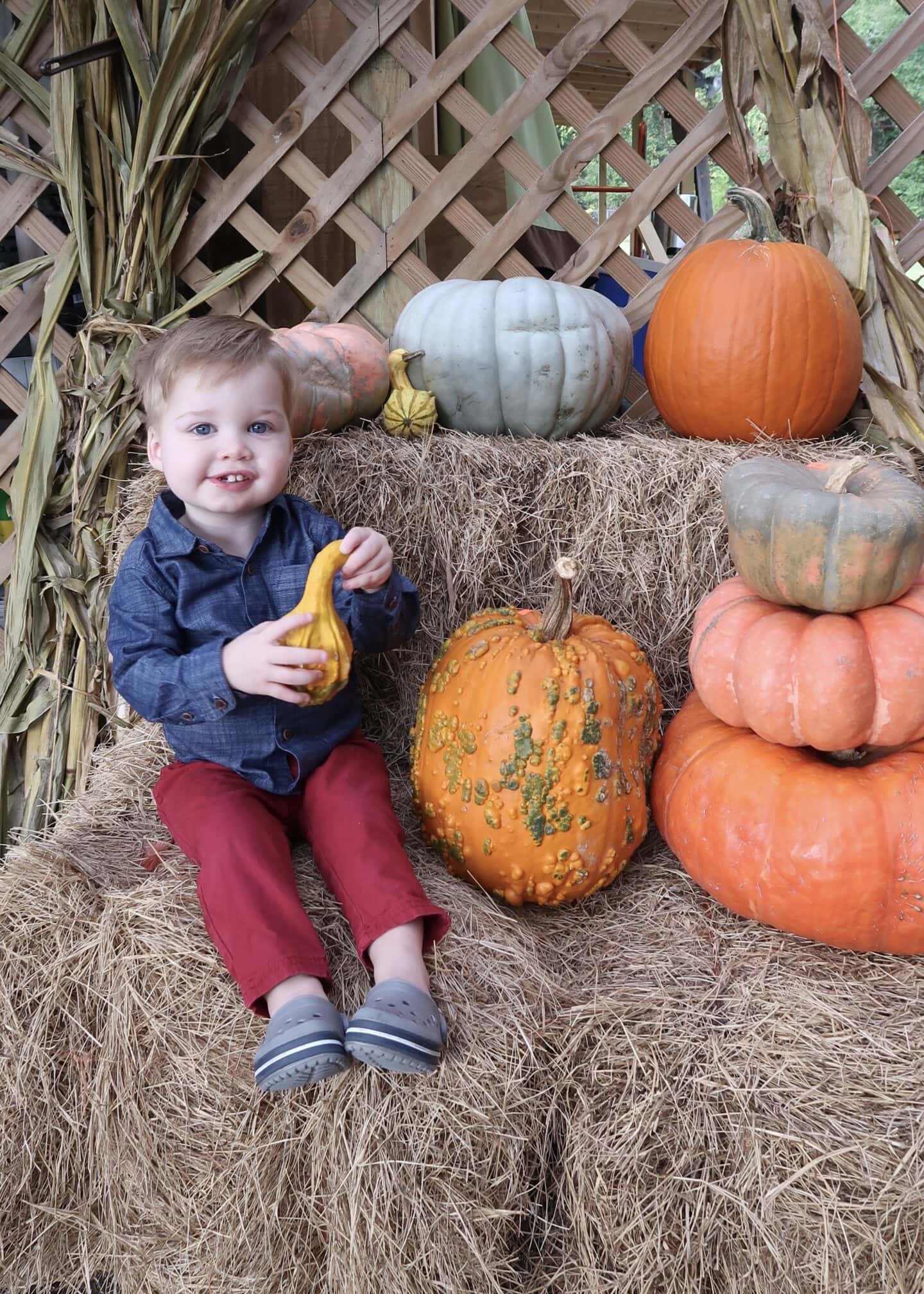 Spear is 23 Months Old