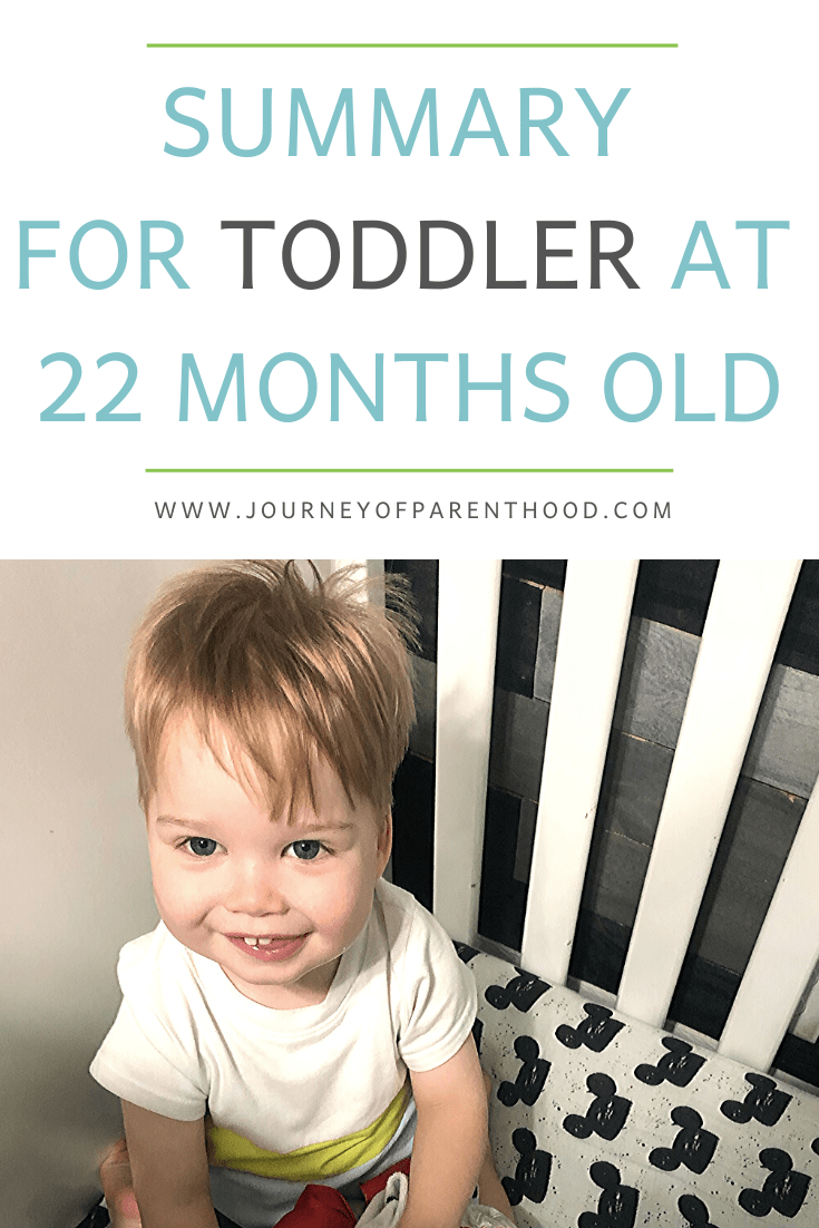 summary for toddler at 22 months old