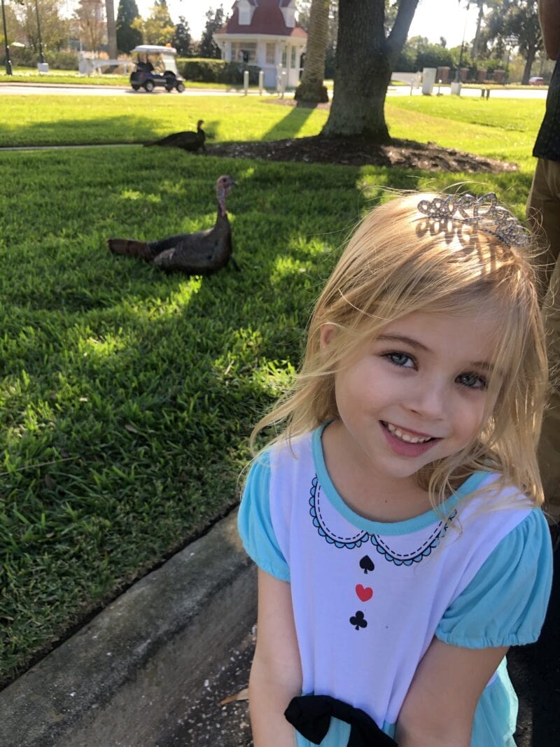 Thanksgiving 2019 The Journey of Parenthood...