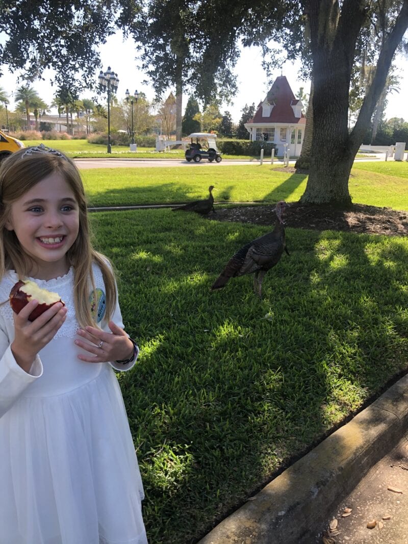 Thanksgiving 2019 The Journey of Parenthood...