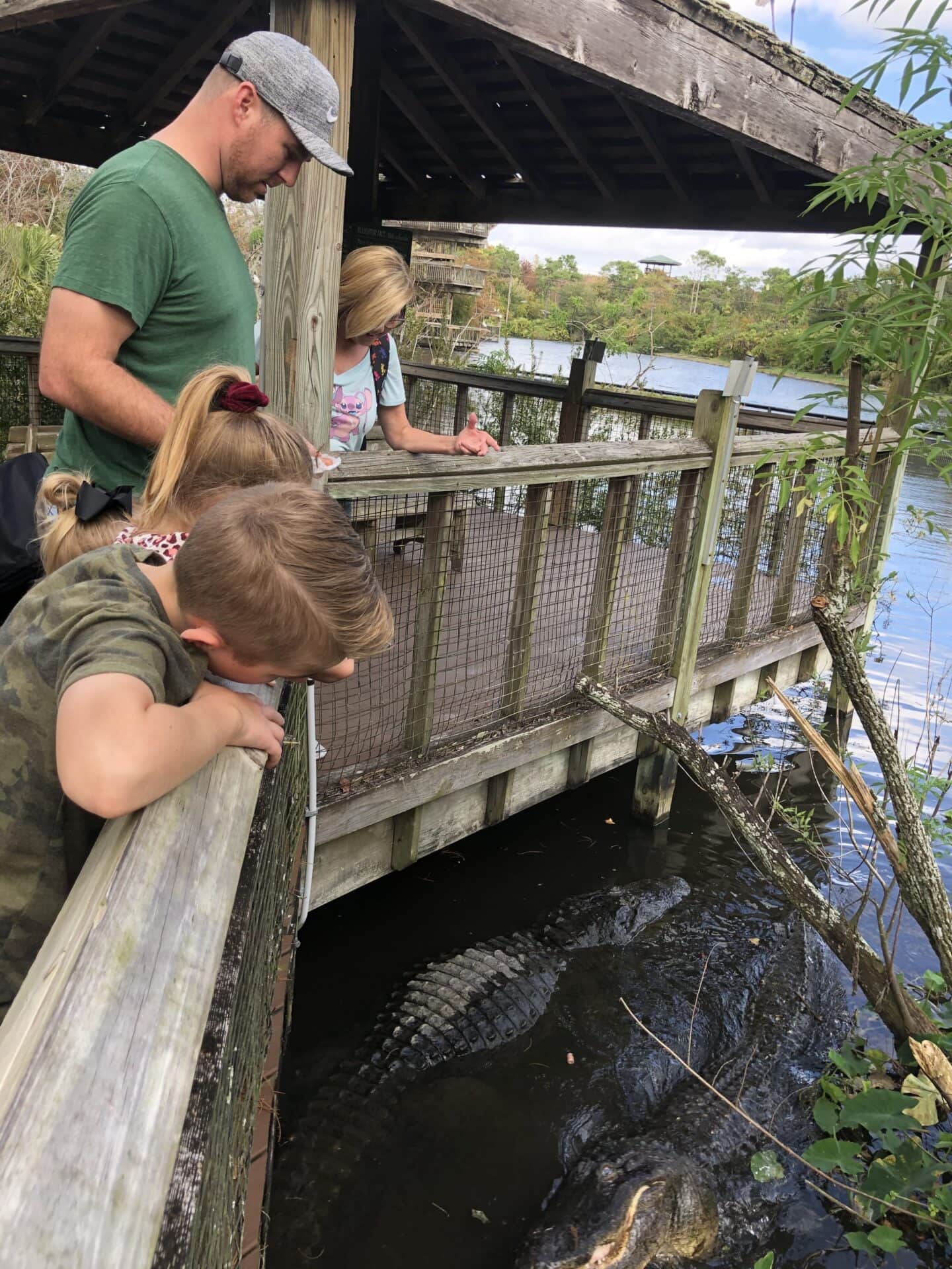 visiting gatorland ziplining in orlando florida