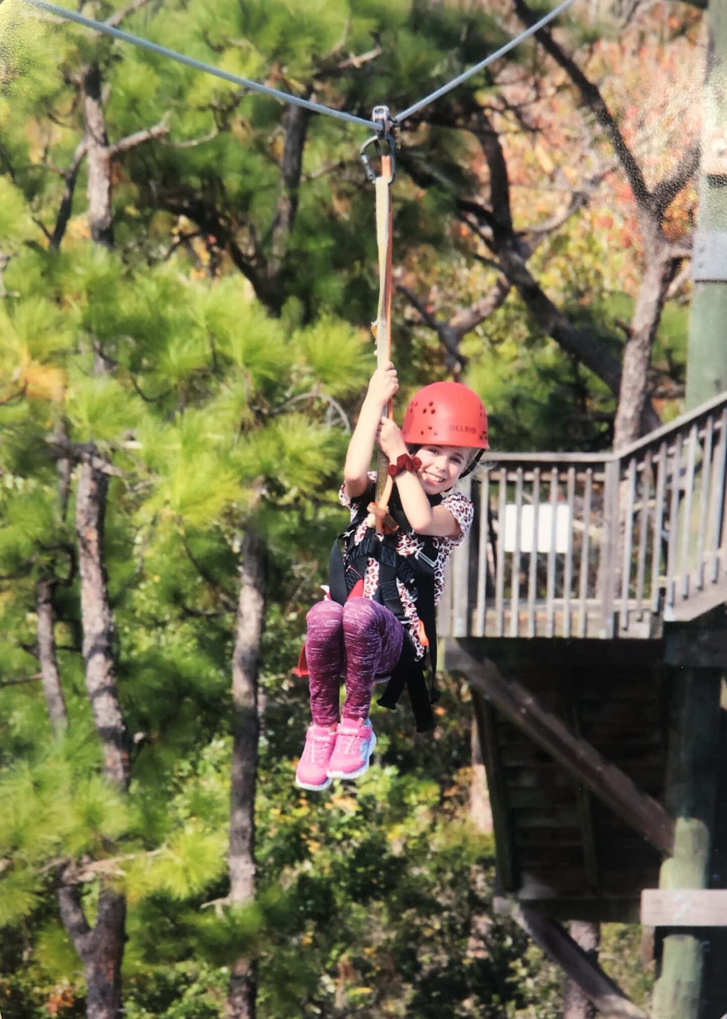 visiting gatorland ziplining in orlando florida