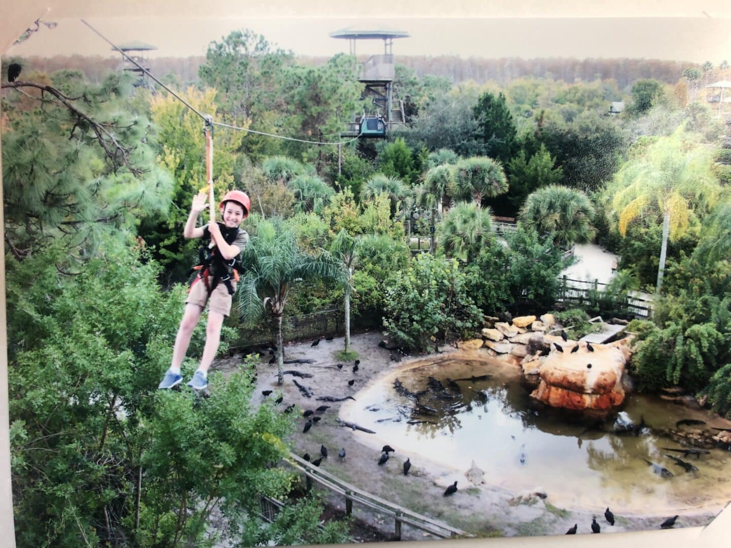 visiting gatorland ziplining in orlando florida