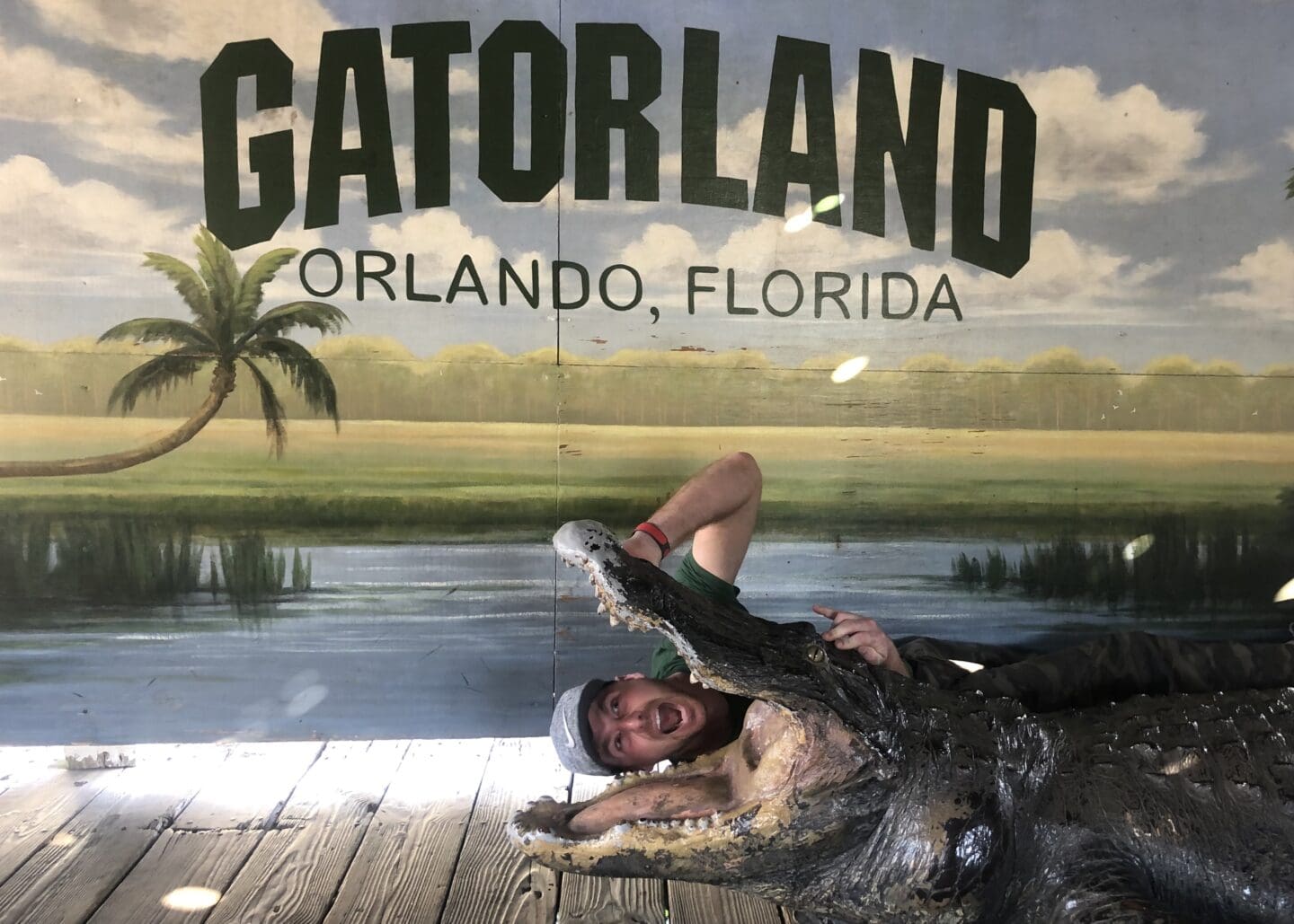 visiting gatorland ziplining in orlando florida