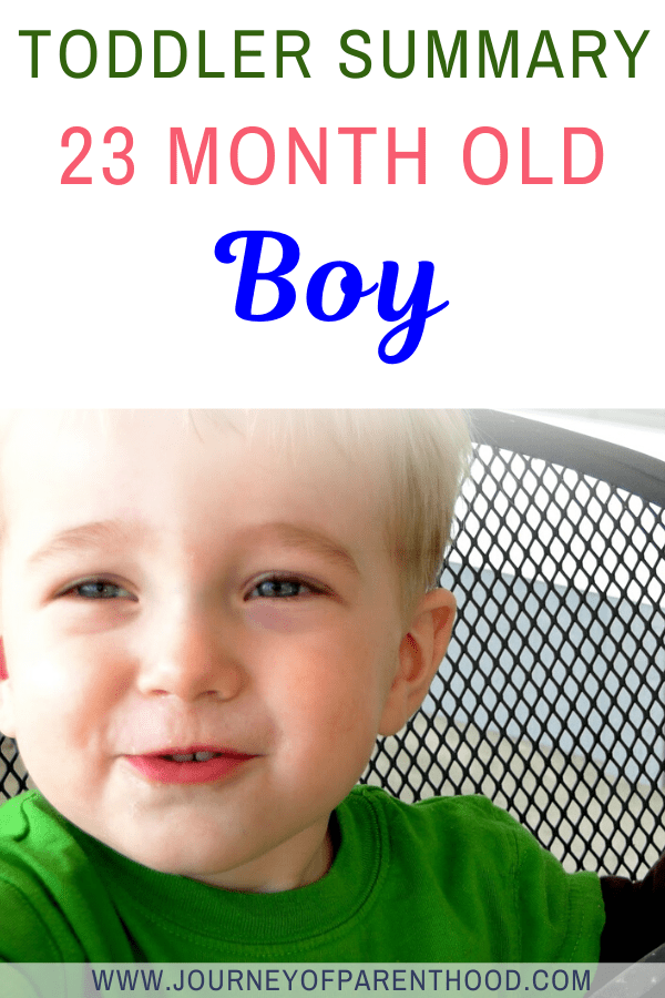 toddler summary 23 month old boy