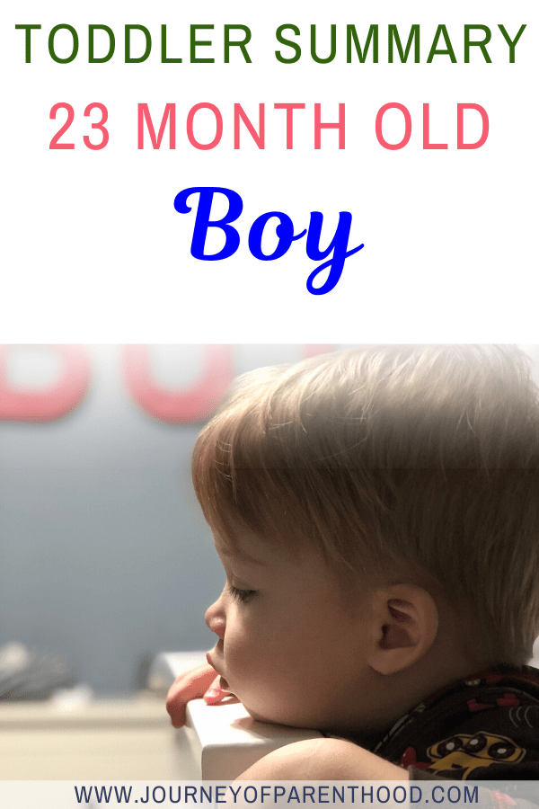 toddler summary 23 month old boy