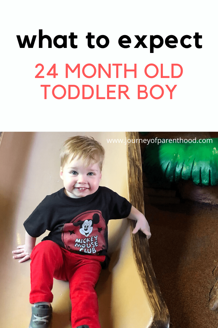 what to expect 24 month old toddler boy 