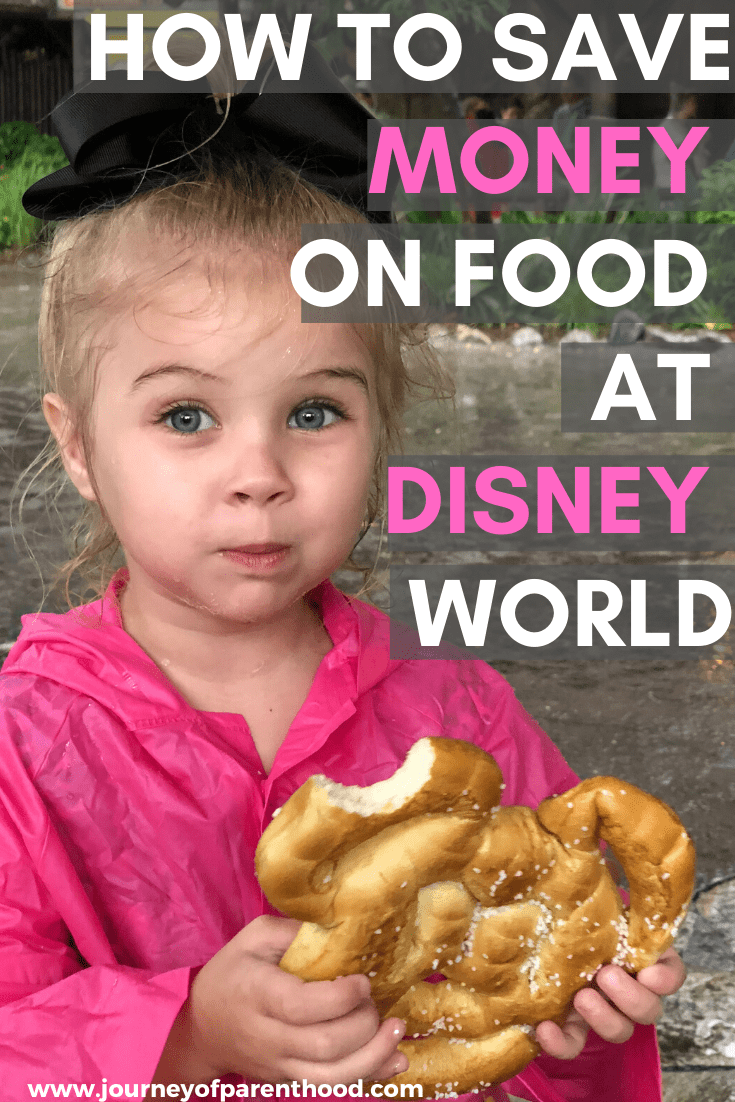 how to save money on food at Disney World
