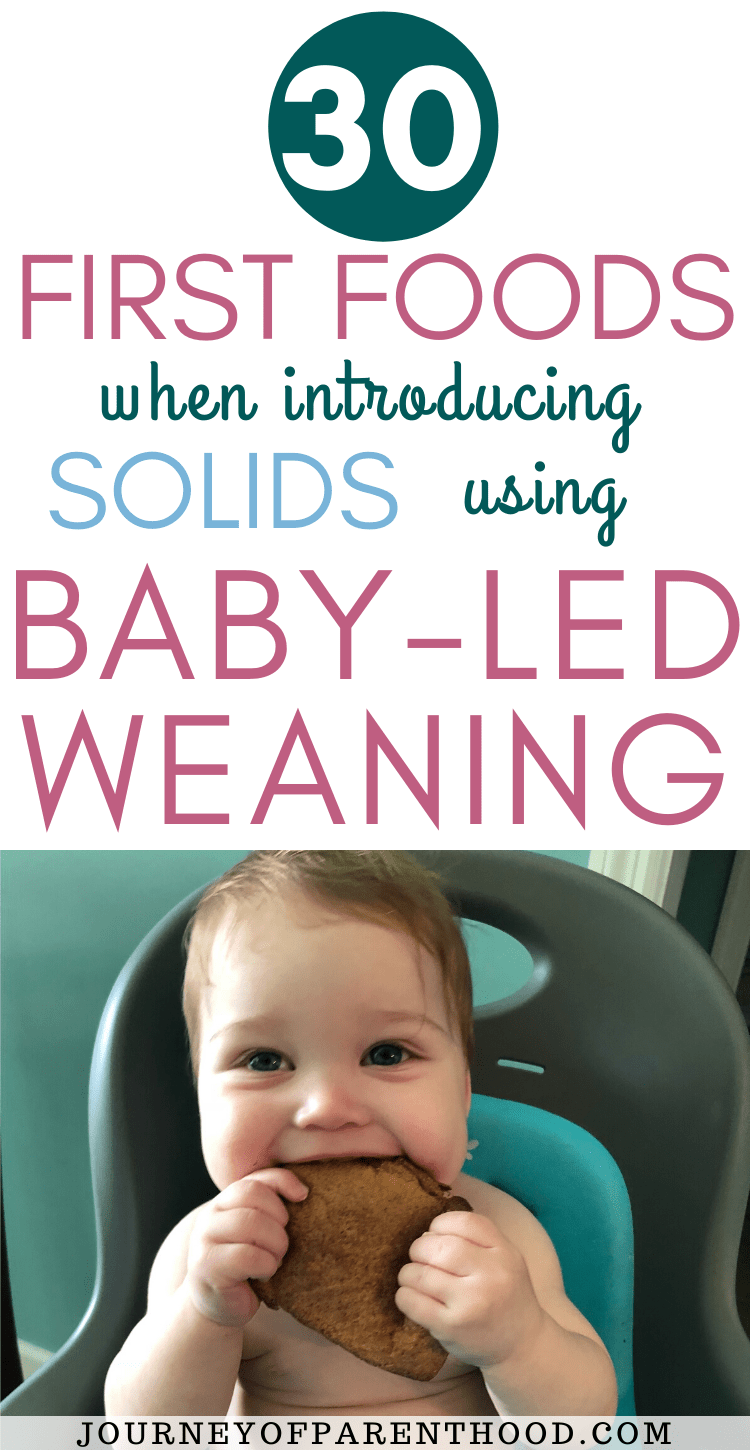 30 first foods when introducing solids using baby led weaning feeding method