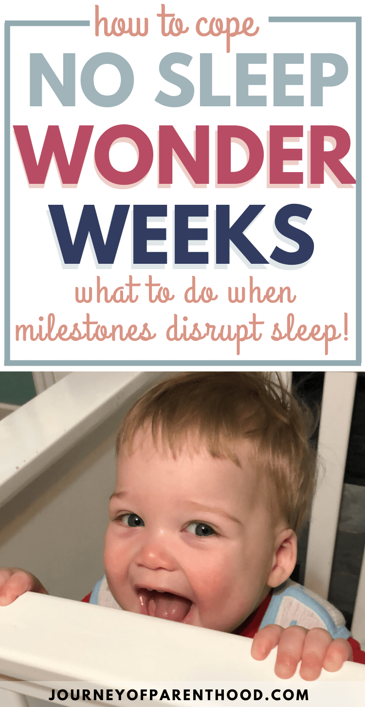 the wonder weeks milestone guide