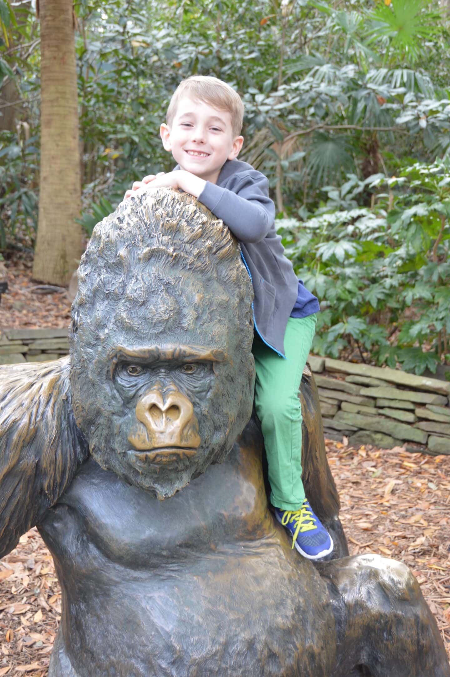 zoo atlanta atlanta attractions for families