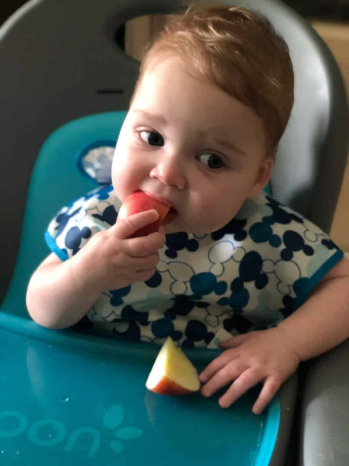 best foods baby led weaning 30 first foods